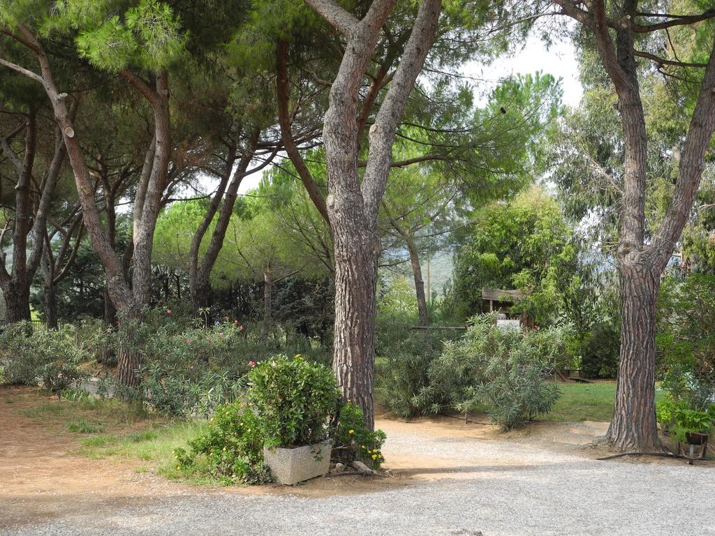 Podere Oslavia Az.Agr.Bio Giannini アルベレーゼ エクステリア 写真