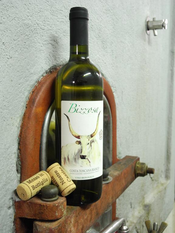 Podere Oslavia Az.Agr.Bio Giannini アルベレーゼ エクステリア 写真