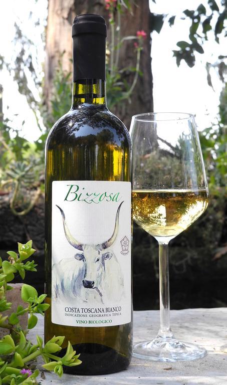 Podere Oslavia Az.Agr.Bio Giannini アルベレーゼ エクステリア 写真
