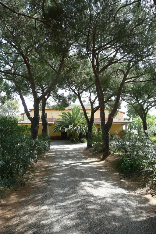 Podere Oslavia Az.Agr.Bio Giannini アルベレーゼ エクステリア 写真