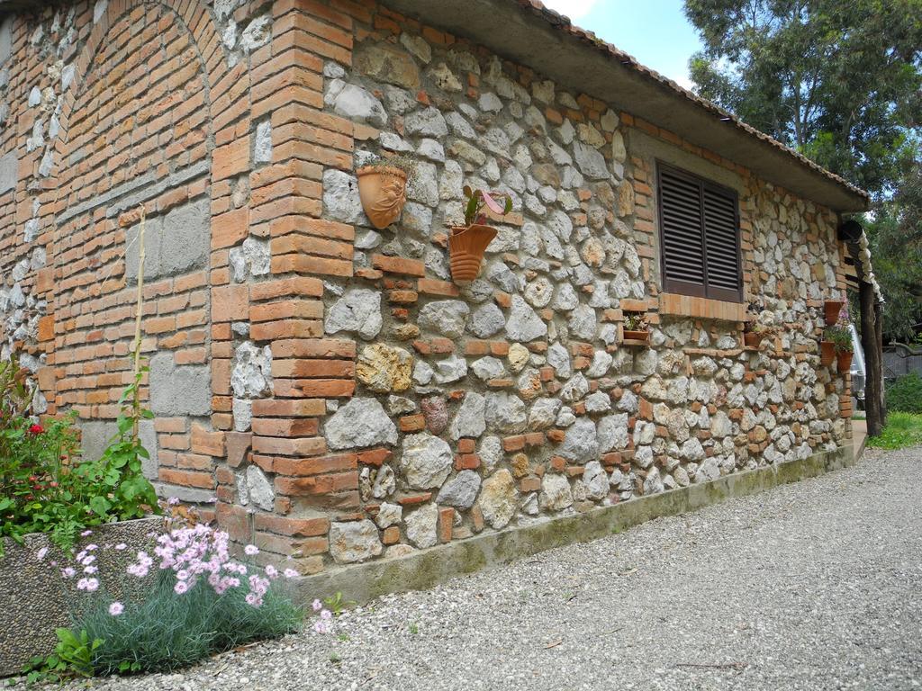 Podere Oslavia Az.Agr.Bio Giannini アルベレーゼ エクステリア 写真