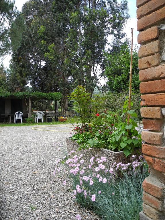Podere Oslavia Az.Agr.Bio Giannini アルベレーゼ エクステリア 写真