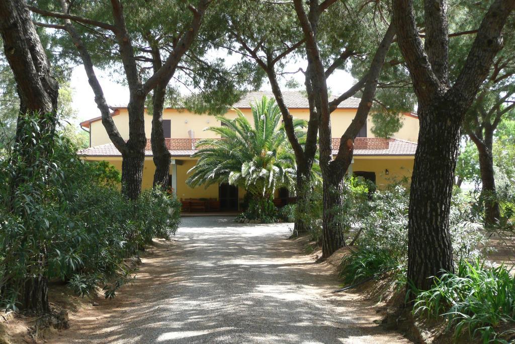 Podere Oslavia Az.Agr.Bio Giannini アルベレーゼ エクステリア 写真