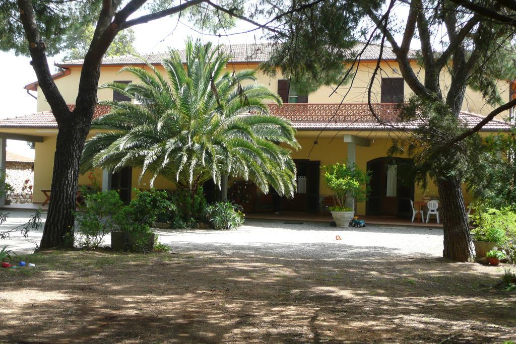 Podere Oslavia Az.Agr.Bio Giannini アルベレーゼ エクステリア 写真